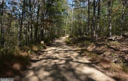 33+ ACRES QUAIL RUN LANE, WINCHESTER, VA 22602
