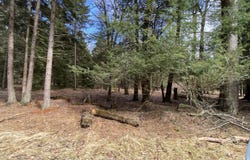 1025 W Wadi Road W, Pocono Lake, PA 18347