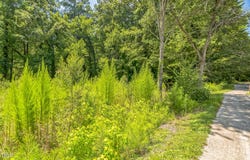 115 N Estes Drive, Chapel Hill, NC 27514