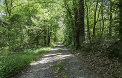 227a Spring Creek Law Road, Jackson, TN 38305