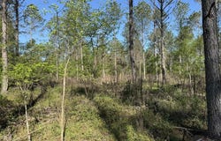 Murfreesboro, AR 71958