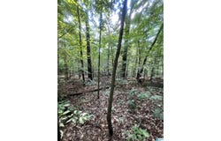 0 ANDREW JACKSON ROAD, ALEXANDER CITY, AL 35010