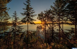 398 Daisey King Rd., Sequim, WA 98382