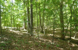 0 Givens Tyler RD, Salem, VA 24153