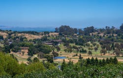 82 Mcnear Drive, San Rafael, CA 94901