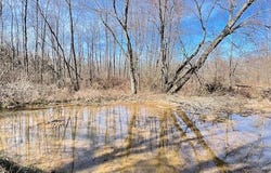 00 Fry Road, Lavinia, TN 38348