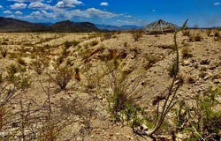 285 S County Rd, Terlingua, TX 79852