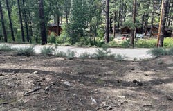66 Pleasant Valley Road, Markleeville, CA 96120
