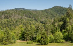 6004 Thompson Creek Road, Applegate, OR 97530