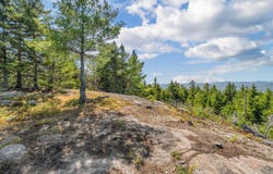 MFR026 L6 Cherry Hill Road, Perkins Twp, ME 04294