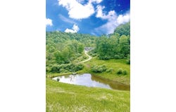 634  Triplett Road, Spencer, WV 25276