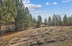 NKA Lower Weaver Way, Deer Park, WA 99006