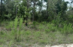 Tbd SE 28TH STREET, MORRISTON, FL 32668