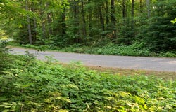 Lot 22 DEER TRAIL RD, Presque Isle, WI 54557