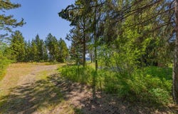12980 Ponderosa Drive, Donnelly, ID 83615