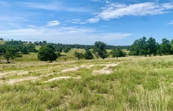 Dancing Sun Rd lot: 26, Fredericksburg, TX 78624