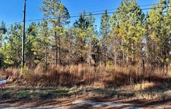 Needmore, TROY, AL 36081