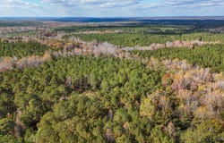 407 County Road 258, Five Points, AL 36862