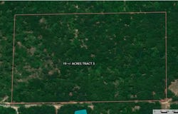 Tract 3 Pvt Rd 8079 Road, Ben Wheeler, TX 75754