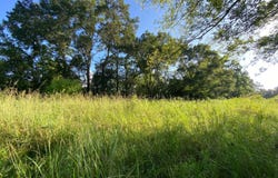 TBD Baudoin Rd, Maurice, LA 70555