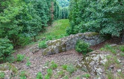 TBD Low Gap  RD, West Fork, AR 72774