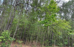 04 Mallard Road, Summerville, SC 29483