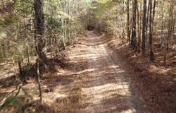 TBD Antioch Cemetery Rd, Provencal, LA 71468
