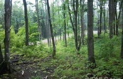 Off Chaney Shores, Bessemer, MI 49911