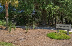 941 Hammocks Way, Edisto Island, SC 29438