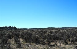 Pajarito DR, Tierra Amarilla, NM 87575