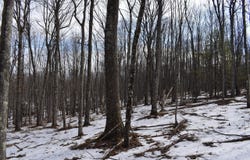 406 Hanslovan Lane, Pottersdale, PA 16871