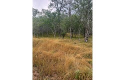 107 Hauula CT, Bastrop, TX 78602
