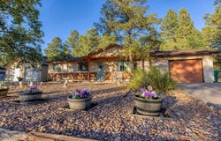 1041 N 36th Drive, Show Low, AZ 85901