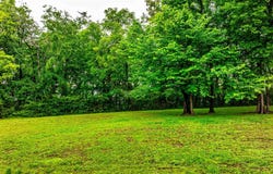 Lot 10 Eagle View Dr, Muscle Shoals, AL 35661