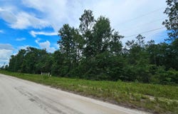 LOT13 119TH DR, OBrien, FL 32071