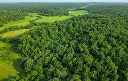 0 Redwing Rd, Waynesville, MO 65583