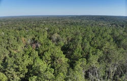 of Tilton Rd, Monticello, MS 39654