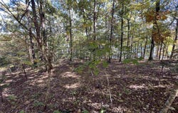 Angel Way, Clinton, AR 72031
