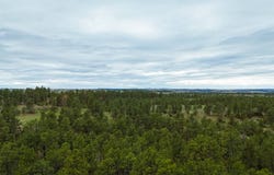 7200  Pineview Rd, Custer, MT 59024