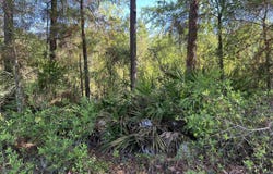 Old Federal Road, Quincy, FL 32351