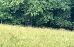 0002 E 1960 Rd, Antlers, OK 74523