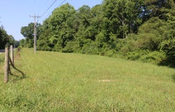 13585 N Nopone Valley Road, Decatur, TN 37322