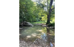1875 Little Buck Creek, Irvine, KY 40336