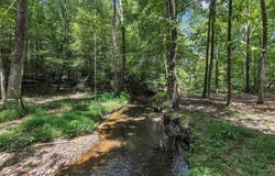 76 Acres Meers Road, Dalton, GA 30721