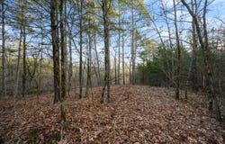 26 Painted Bunting Trail, Smithville, OK 74957