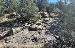 384 Macdonnell Lp, Texas Creek, CO 81223