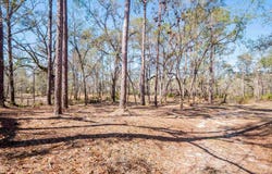 108 NE W Peppermint Trail, Pinetta, FL 32350