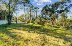 12505 LAKE HILLS DRIVE, RIVERVIEW, FL 33569
