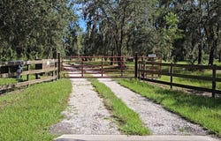 8225 DOG YARD ROAD, LAKE WALES, FL 33898