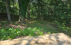 20 INKA LANE, EARLEVILLE, MD 21919